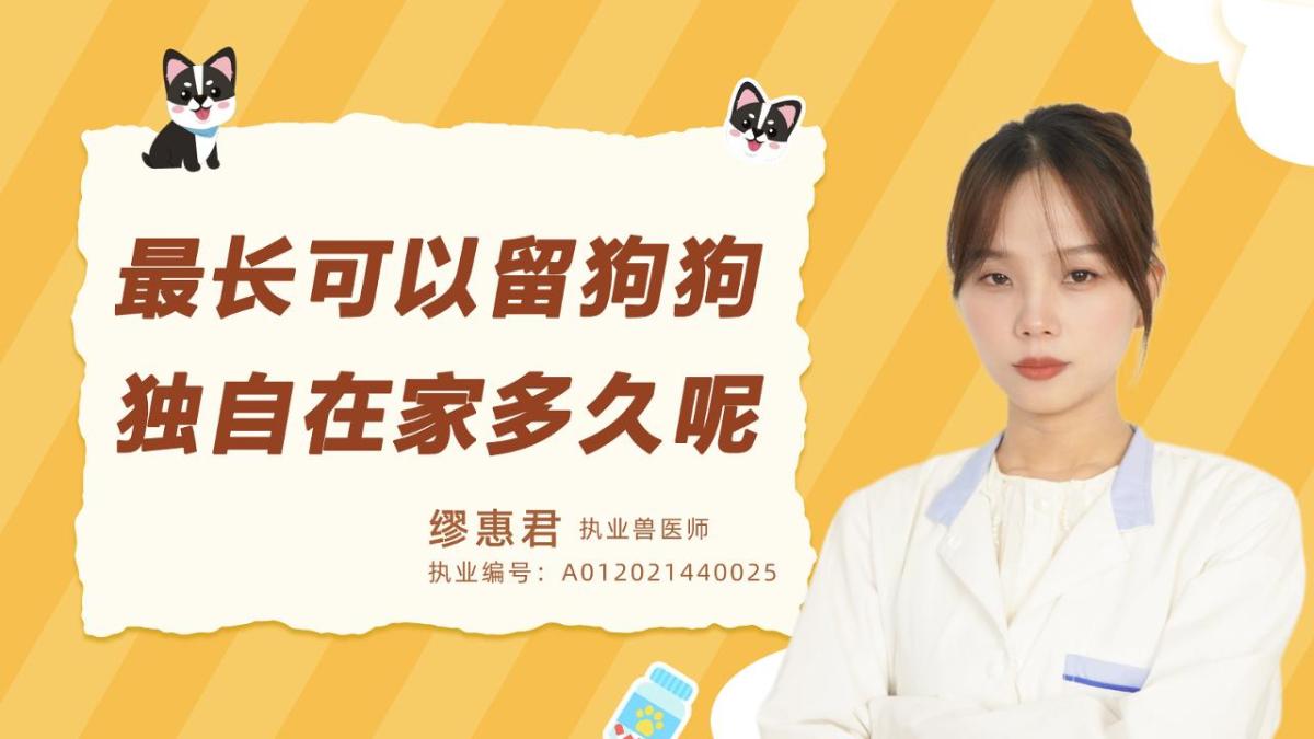 最长可以留狗狗独自在家多久呢？