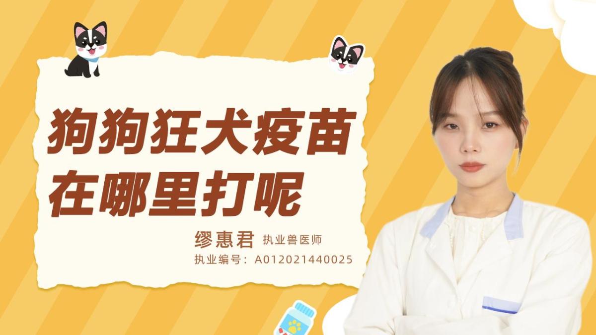 狗狗狂犬疫苗在哪里打呢？