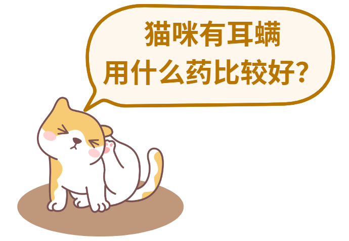 猫咪有耳螨别担心，这些药物能轻松搞定！