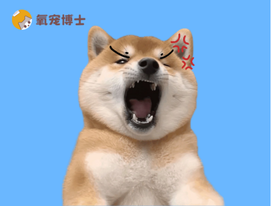 狗狗長癬用什么藥