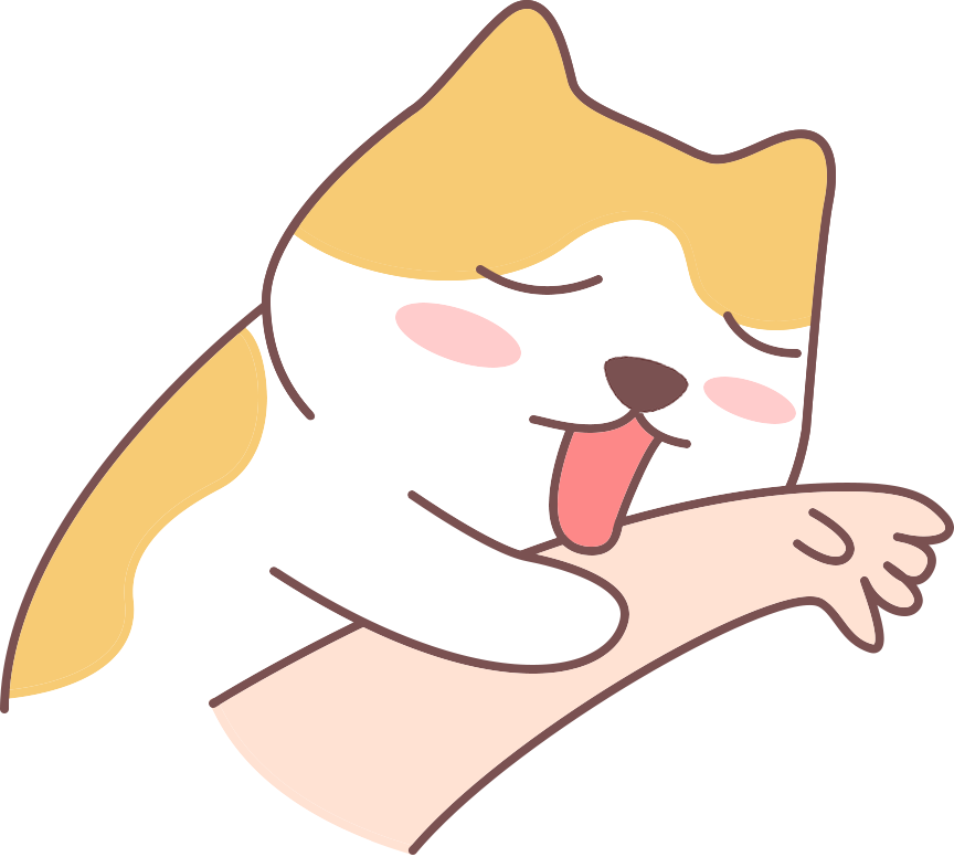 猫咪几周带回家比较合适？