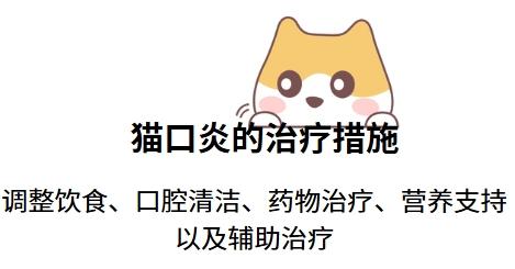 猫咪口炎能用西瓜霜治吗？答案在这里！