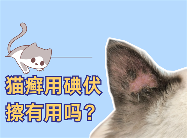 猫癣用碘伏擦有用吗？真相来了！