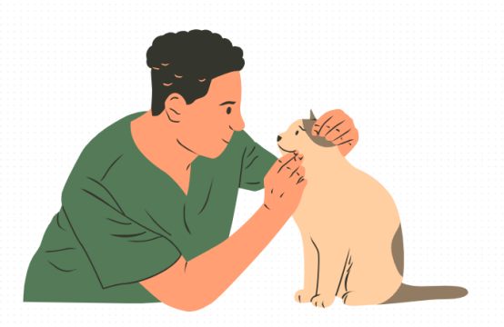 小猫咪上火有眼屎吃什么？