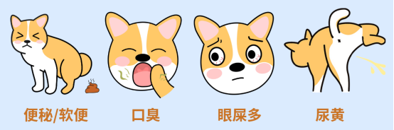 狗狗上火的症状