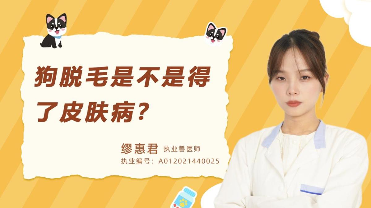 狗脫毛是不是得了皮膚病？