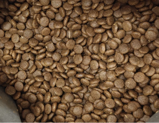 猫小闹猫粮深度测评