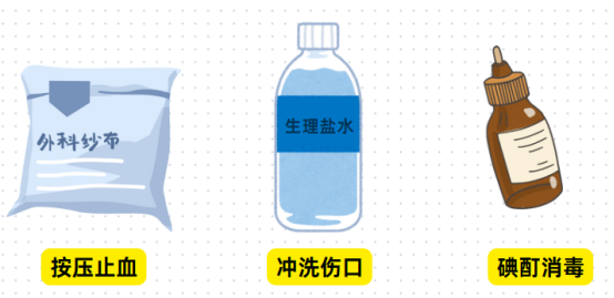 猫受伤了怎么处理