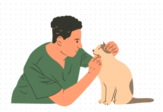 猫咪吐黄水吃什么药？