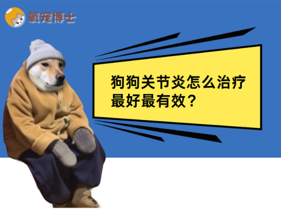 狗狗关节炎怎么治疗最好最有效？