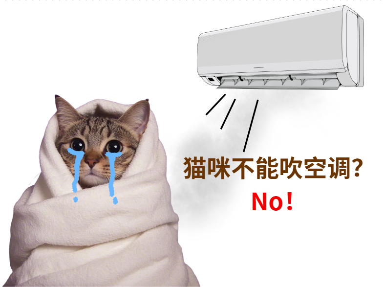 怎麼避免貓咪得“空調病”？