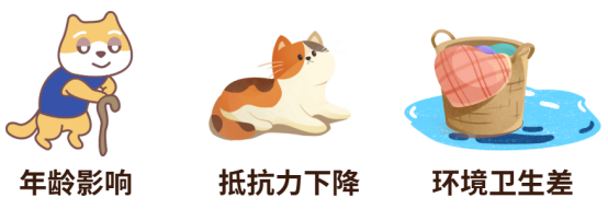 貓得了貓癬怎么治