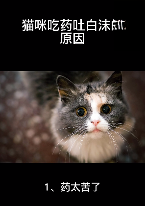 猫咪吃药吐白沫的原因