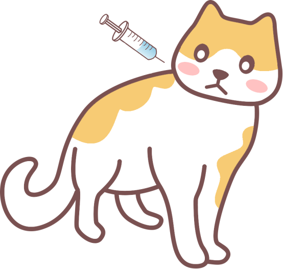 猫鼻支怎么治疗