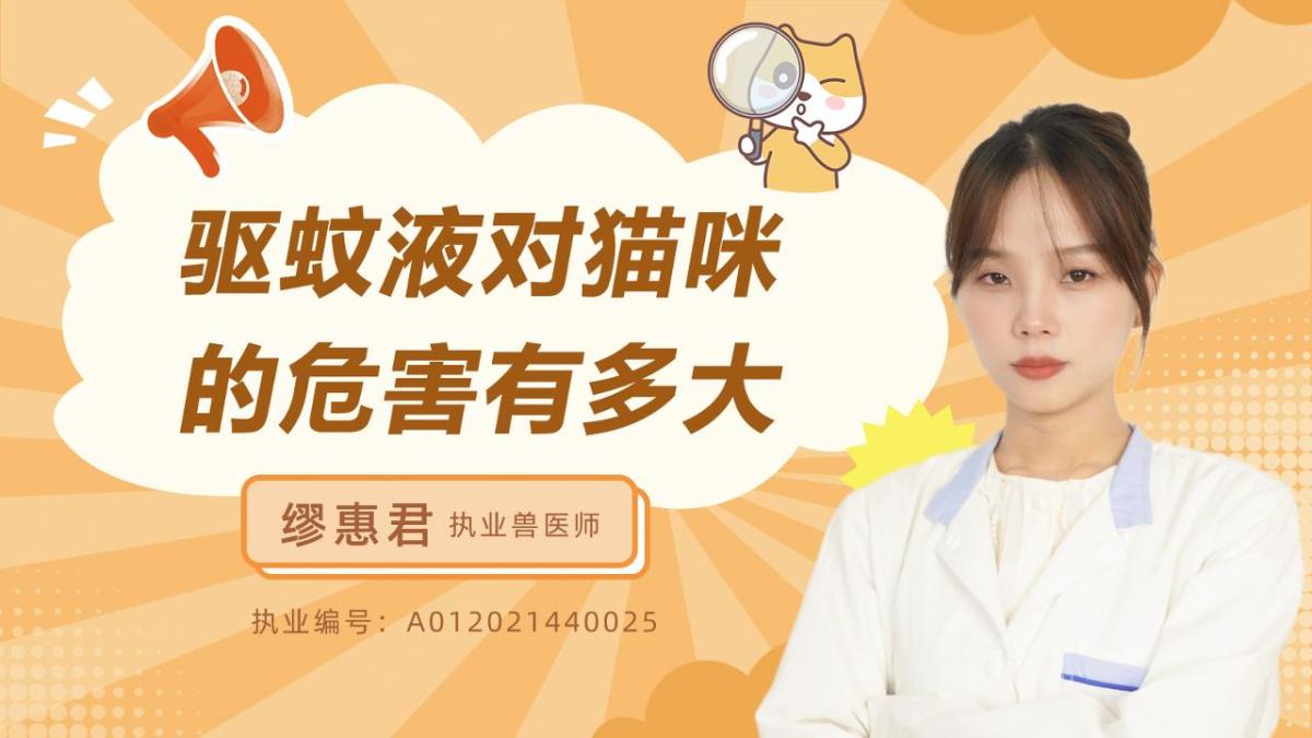 驱蚊液对猫咪的危害有多大?