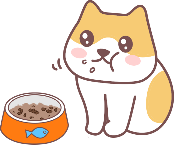 猫咪吐黄水怎么办？