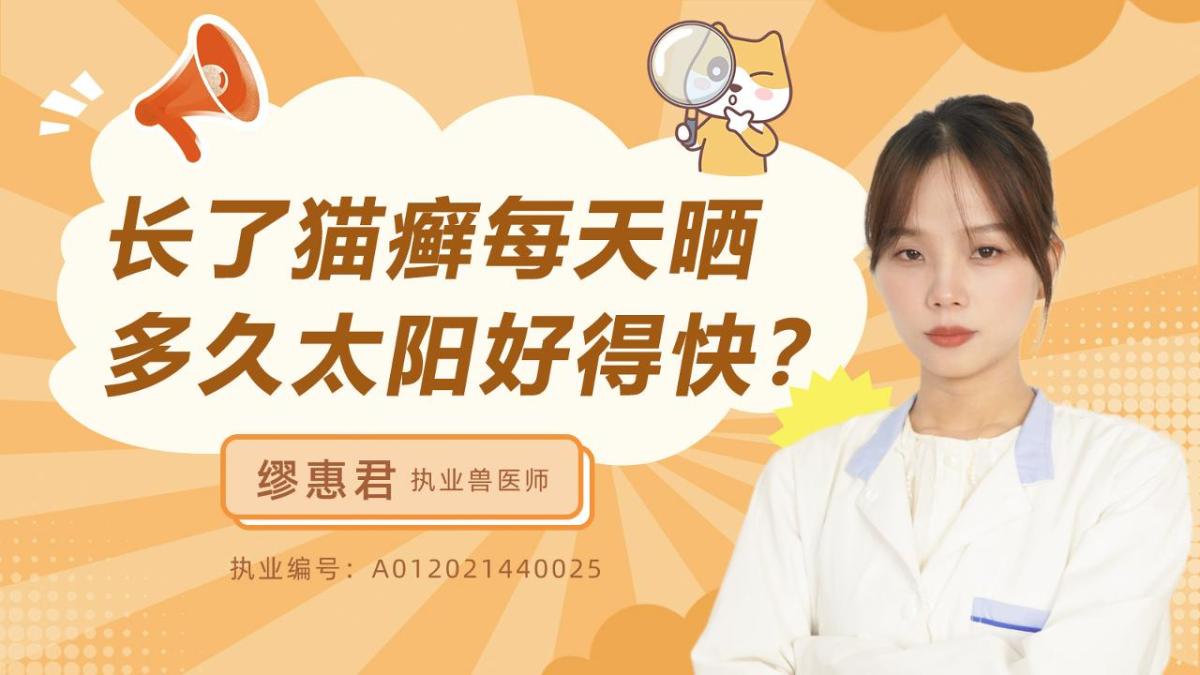 長了貓癬每天曬多久太陽好得快？