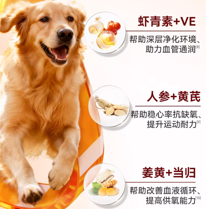 狗狗辅酶Q10怎么选？