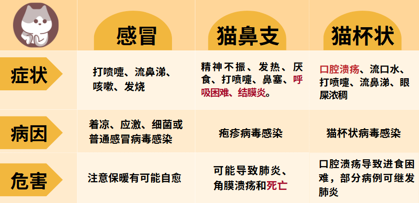 貓感冒的症狀