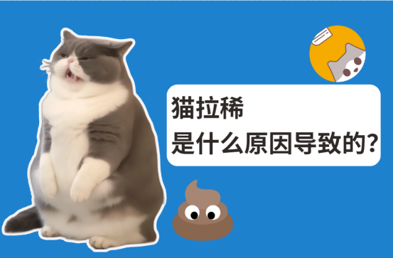 猫拉稀是什么原因导致的？