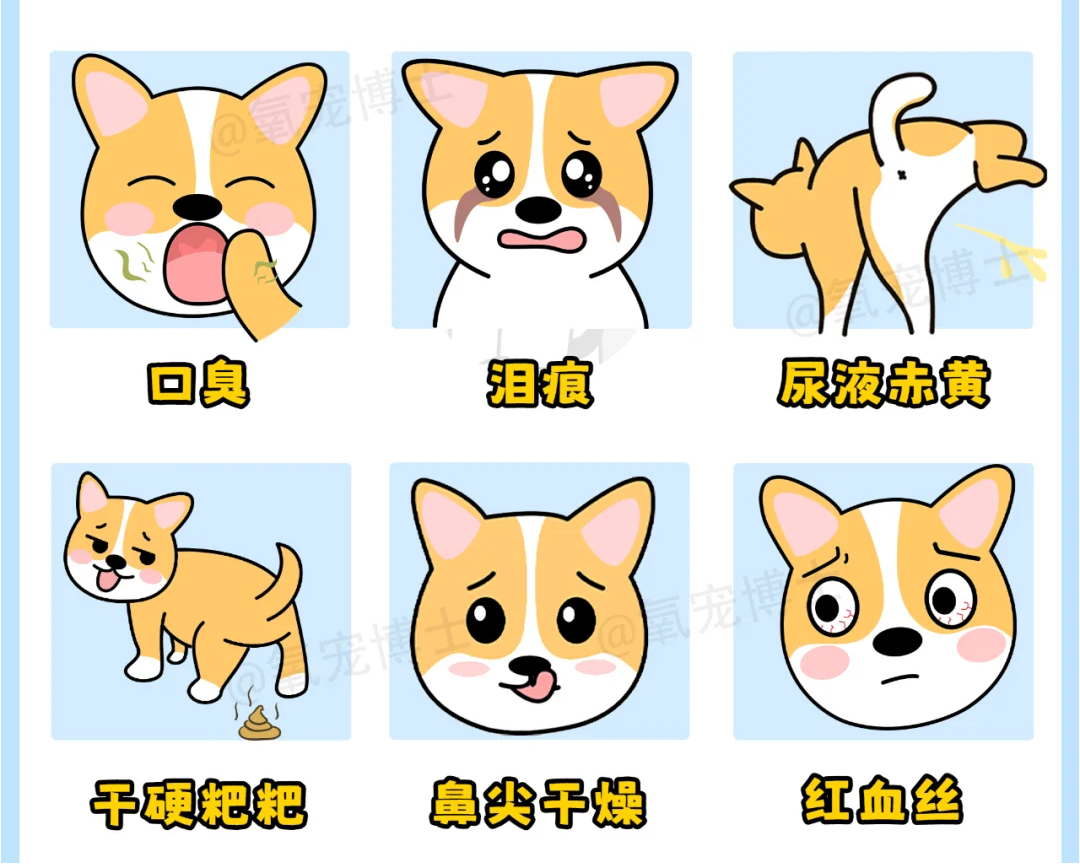 狗狗上火有眼屎吃什么药？
