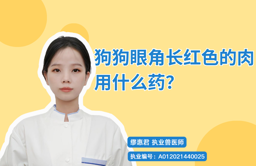 狗狗眼角長紅色的肉用什麼藥？