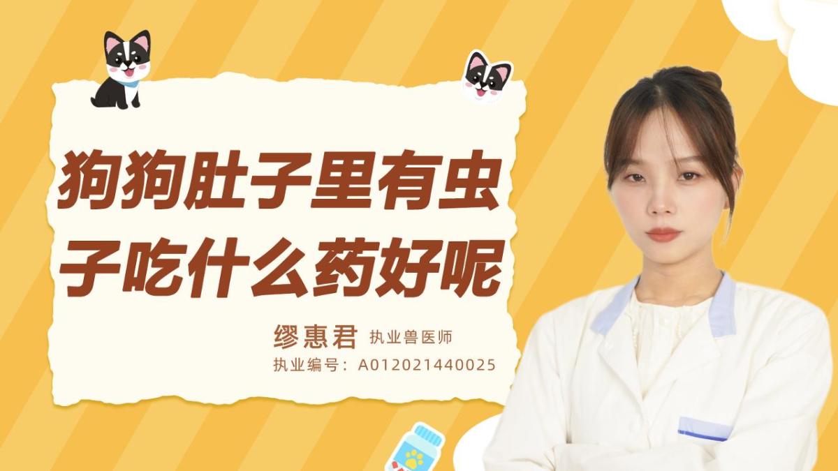 狗狗肚子里有虫子吃什么药好呢？