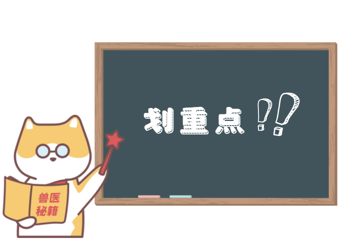 貓癬傳染人怎么辦？