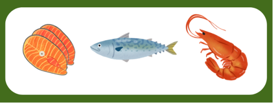 老年犬眼部养护