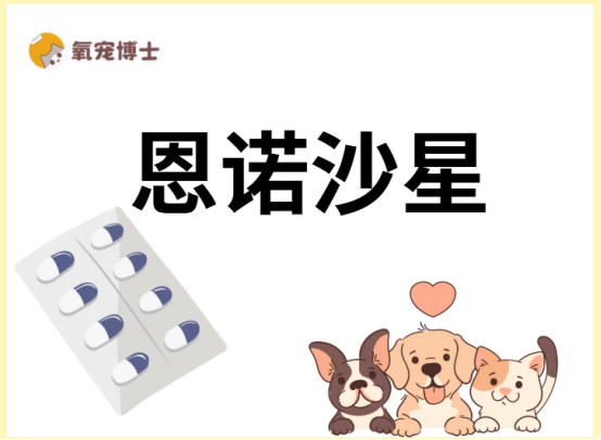 兽用恩诺沙星主要治疗什么病？