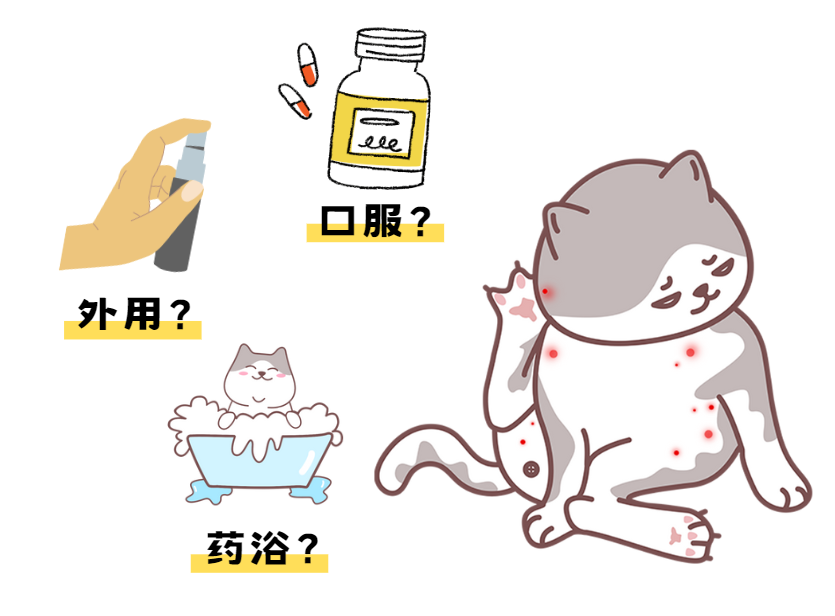 猫皮肤病要吃什么药？外用/口服/药浴，哪种效果好？