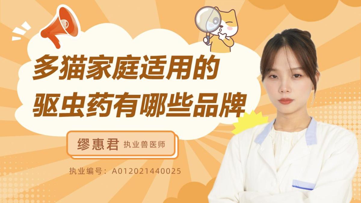 多猫家庭适用的驱虫药有哪些品牌？