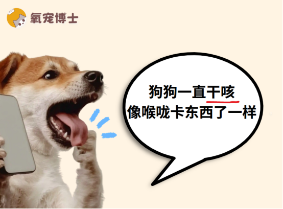 狗狗一直干咳，像是喉咙卡东西了一样是怎么回事？