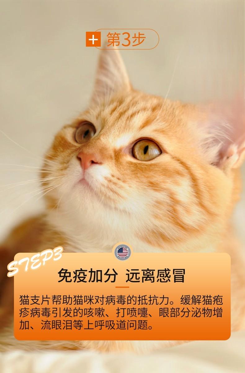 猫咪咳嗽打喷嚏