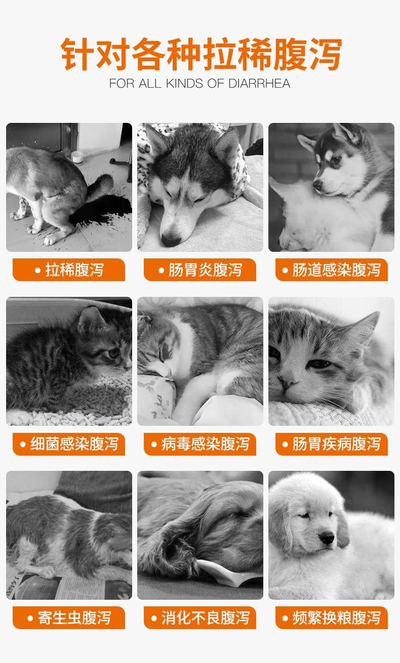 犬猫腹泻是怎么引起的