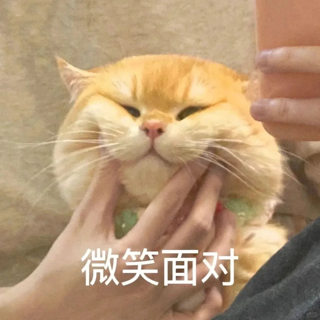 猫咪疯狂舔毛怎么办？