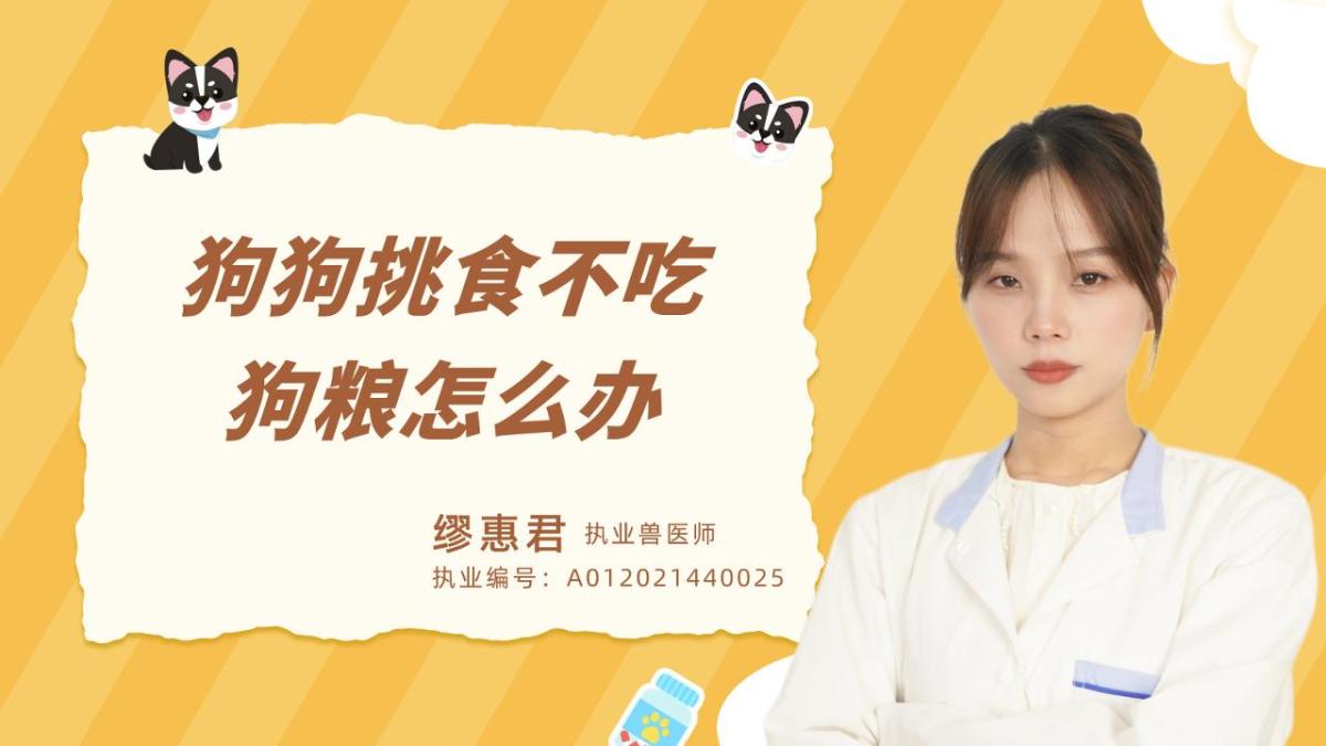 狗狗挑食不吃狗粮怎么办？