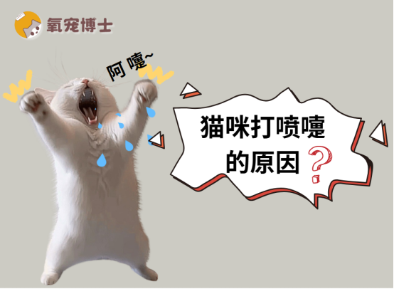 猫咪打喷嚏别大意！这些原因你必须知道