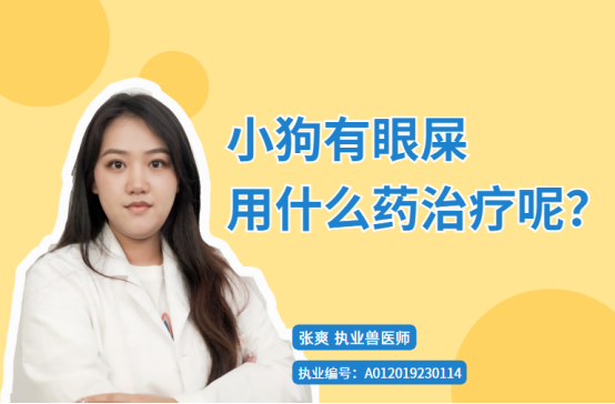 小狗有眼屎用什么药治疗呢？