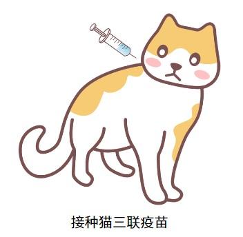 猫咪为何突然感染猫疱疹病毒？真相令人震惊！