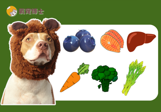 狗狗吃什么对眼睛有好处？