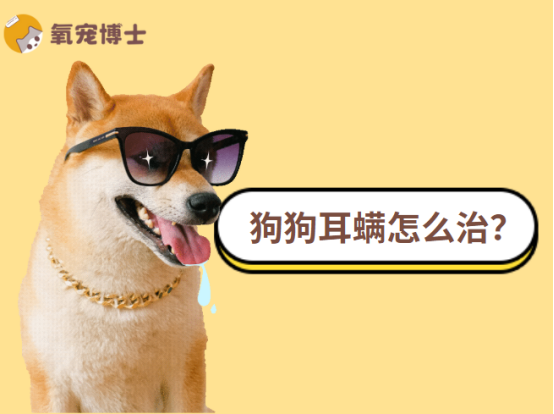 狗狗耳螨怎么治？