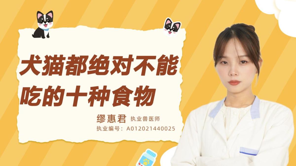 犬猫都绝对不能吃的 10 种食物