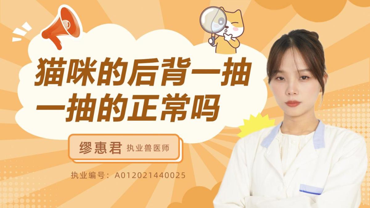 猫咪的后背一抽一抽的正常吗？