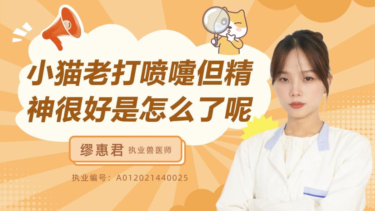 小猫老打喷嚏但精神很好是怎么了呢？