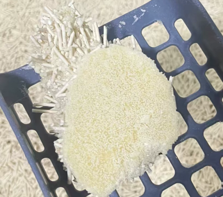 福丸木薯猫砂