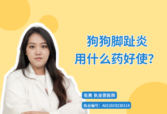 狗狗脚趾炎用什么药好使？