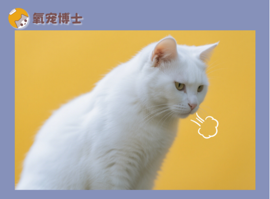 猫咪突然一抽一抽的像咳嗽