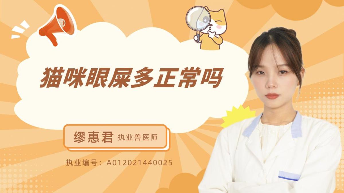 猫咪眼屎多正常吗？