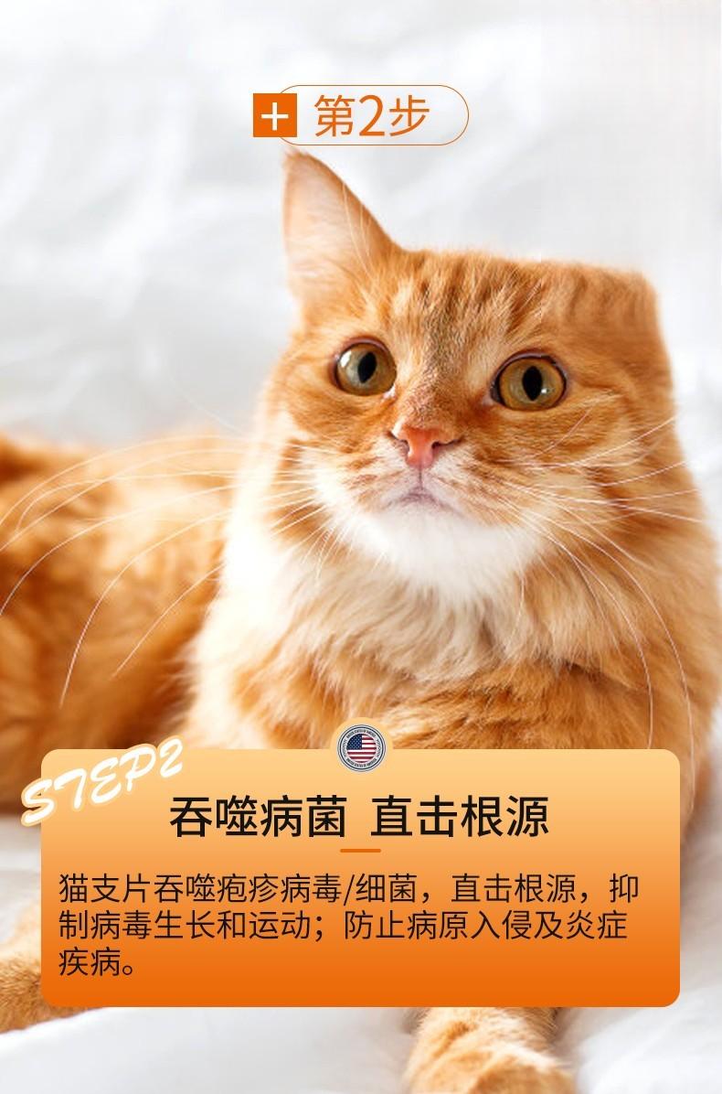 猫咪炎症